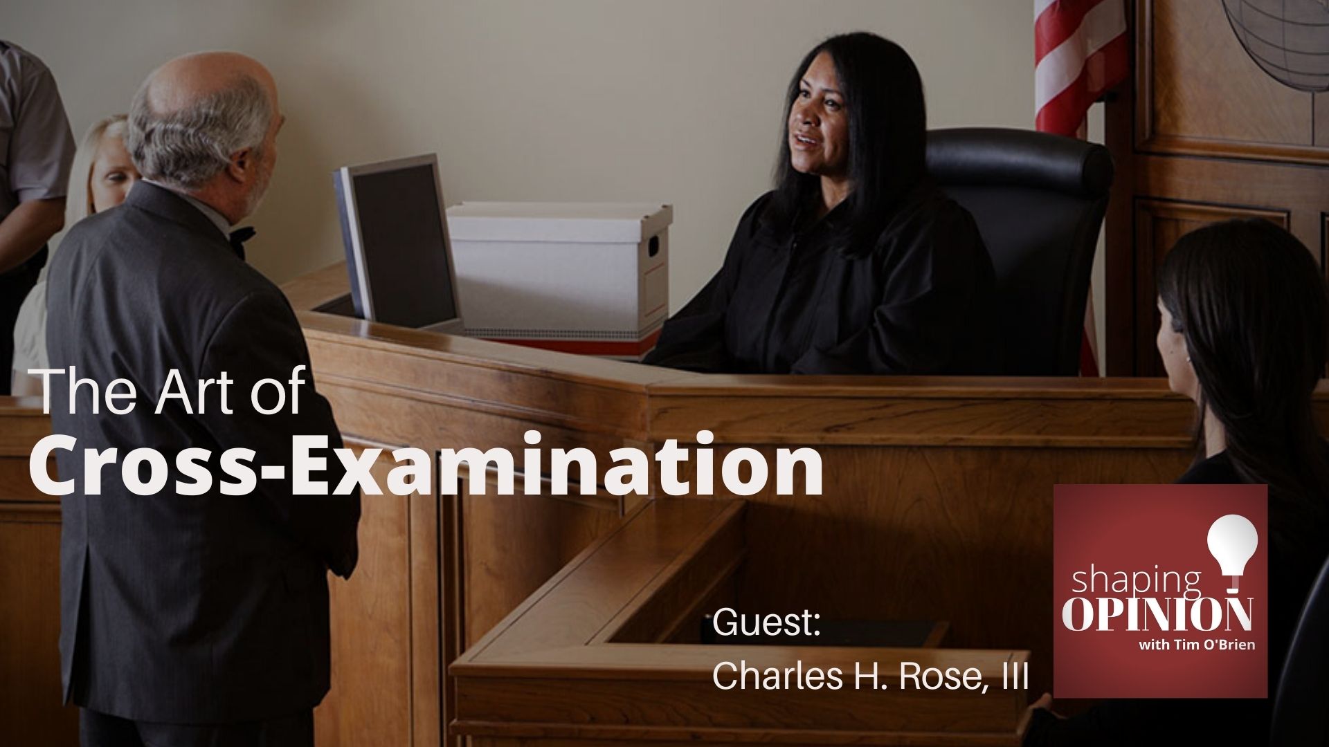 trial lawyers - cross examination